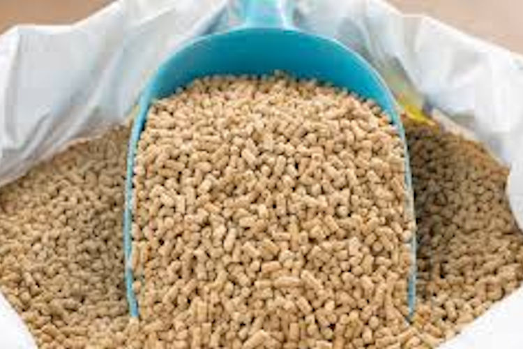 Animal Feed Industry